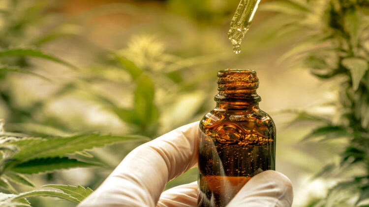 Aceite de Cannabis y su Interacción  con otros Medicamentos